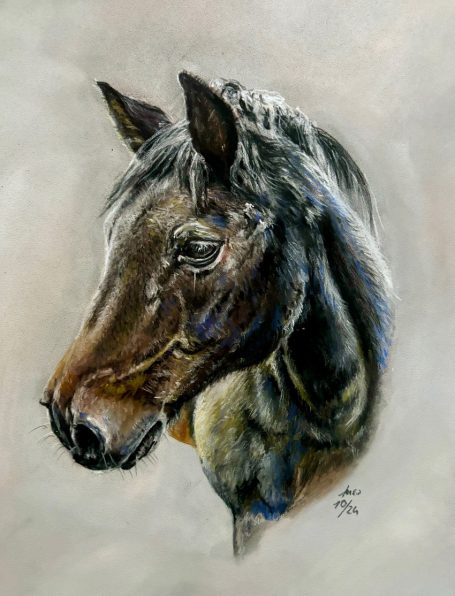 Pferdeportrait