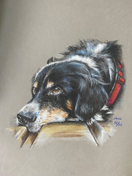 Hundeportrait