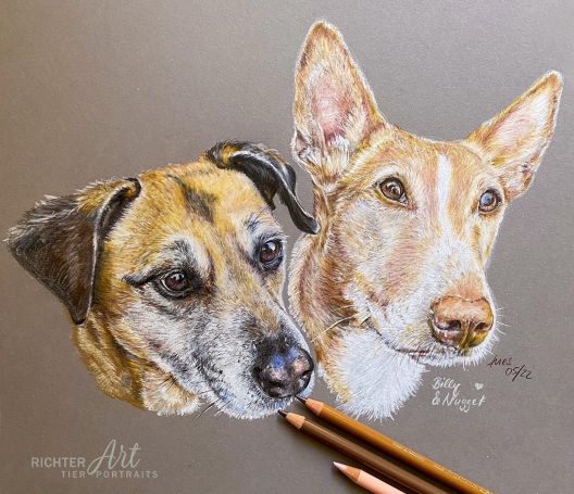 Hundeportrait Buntstift