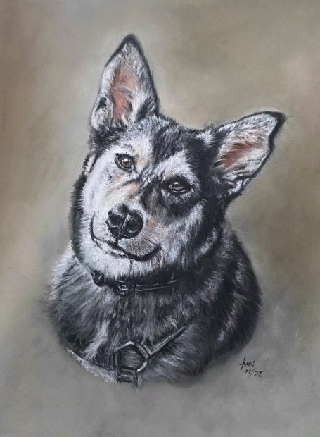Hundeportrait