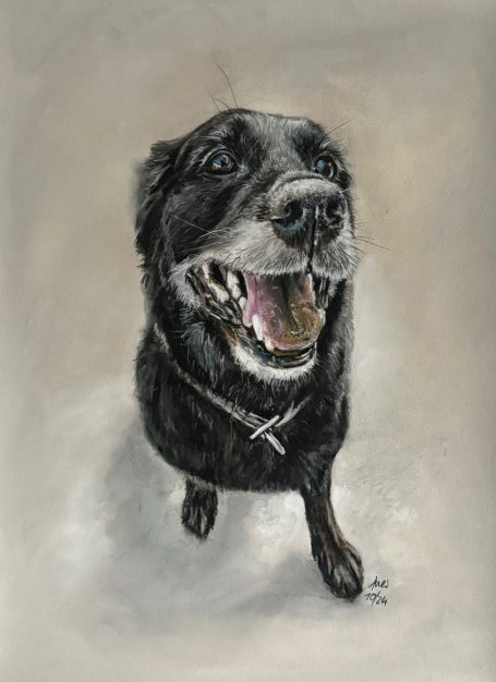 Hundeportrait