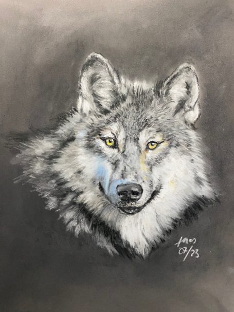 Wolf Portrait