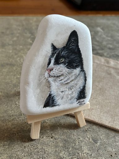 Katze schwarz weiß