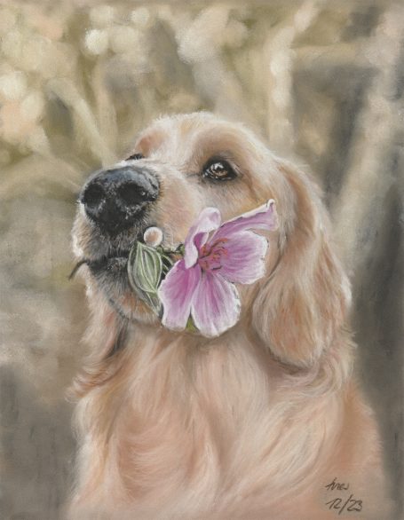 Tierportrait Pastell