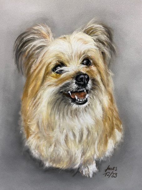 Tierportrait Pastell