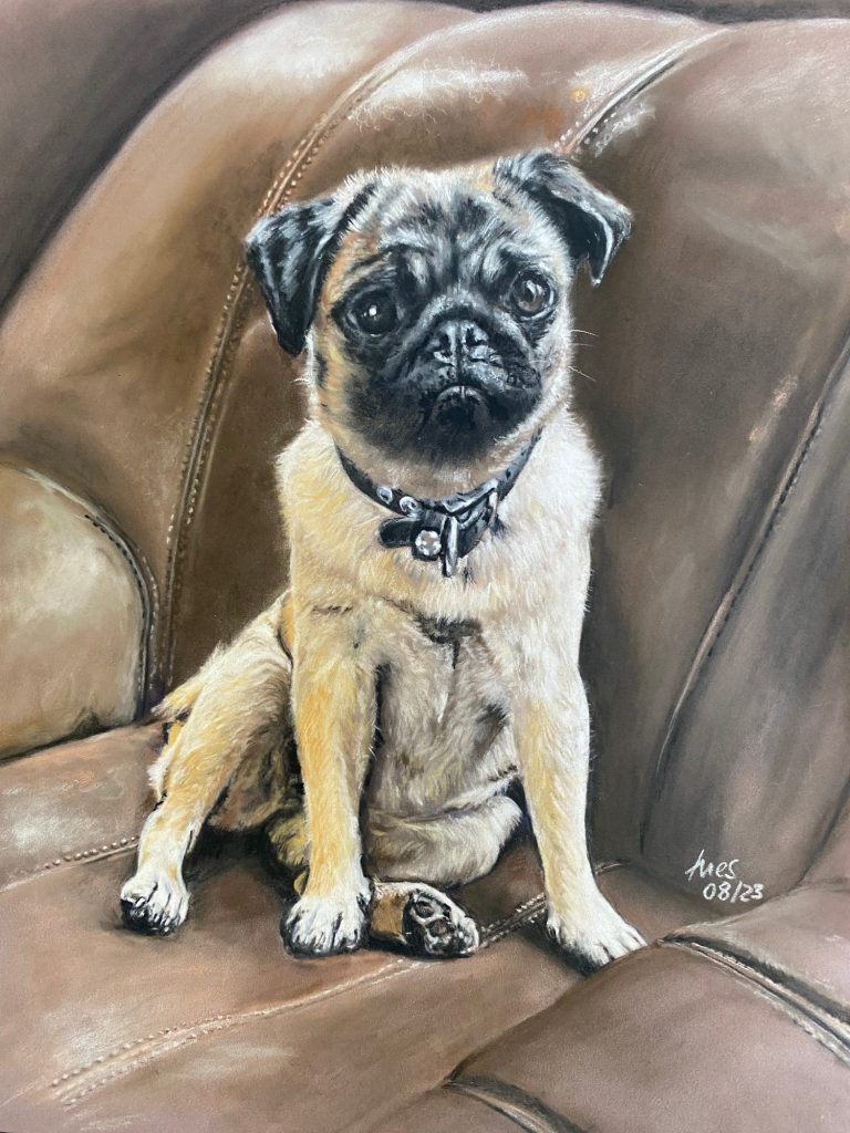 Mops Ledersessel