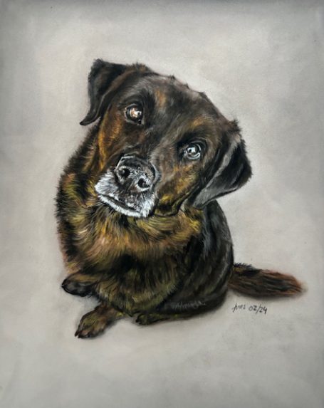 Hundeportrait