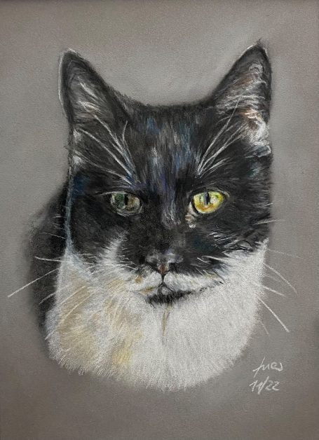 Katze Pastellzeichnung