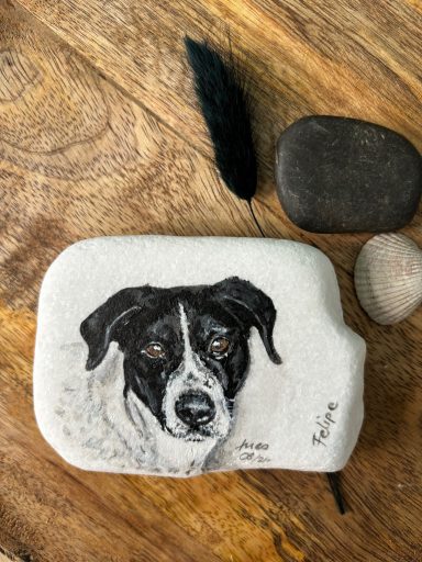 Hundeportrait