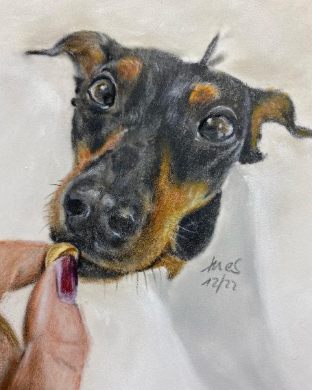 Hundeportrait mit Keks