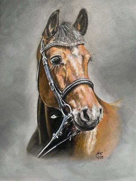 Pferdeportrait