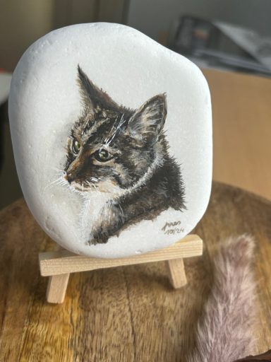 Katze